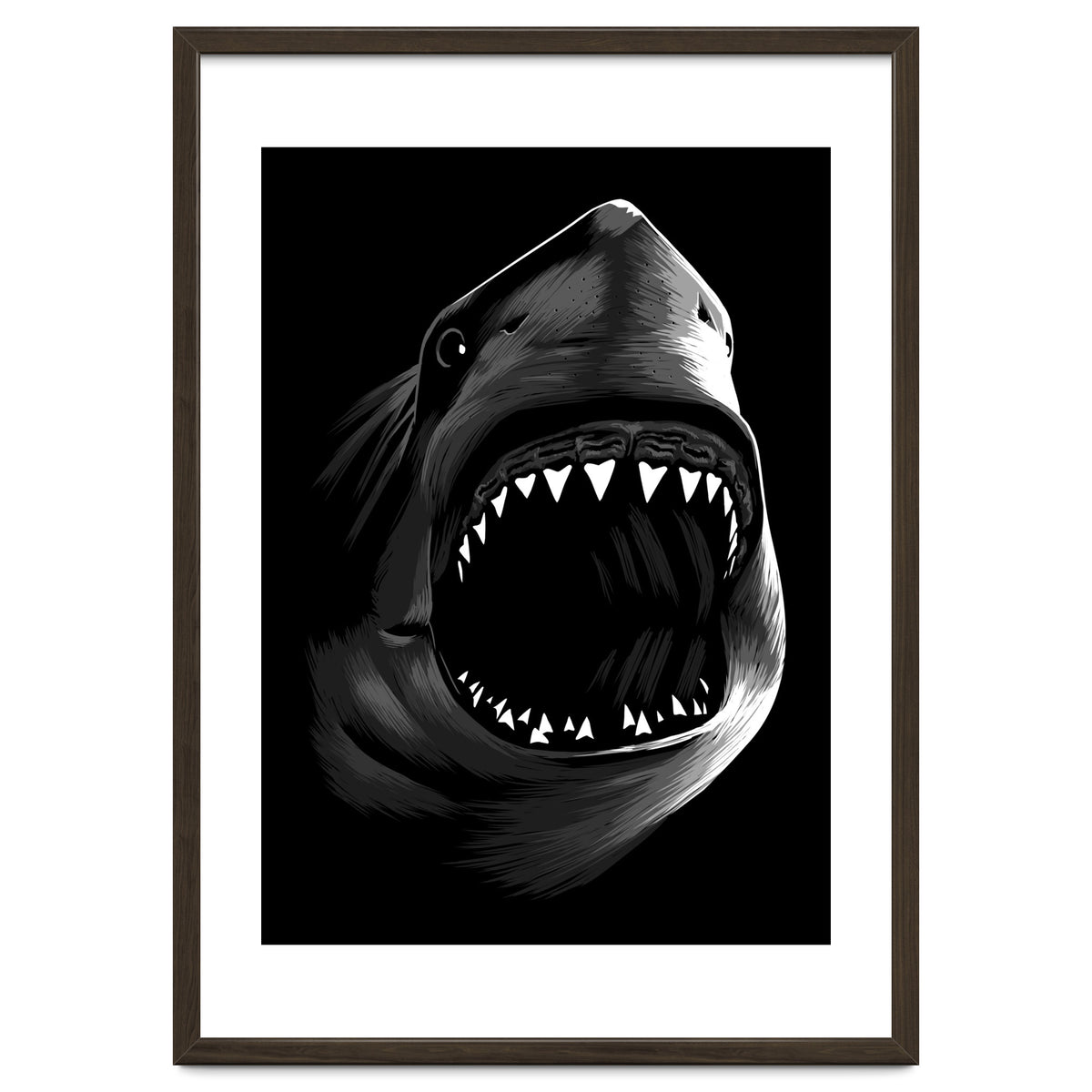 Megalodon