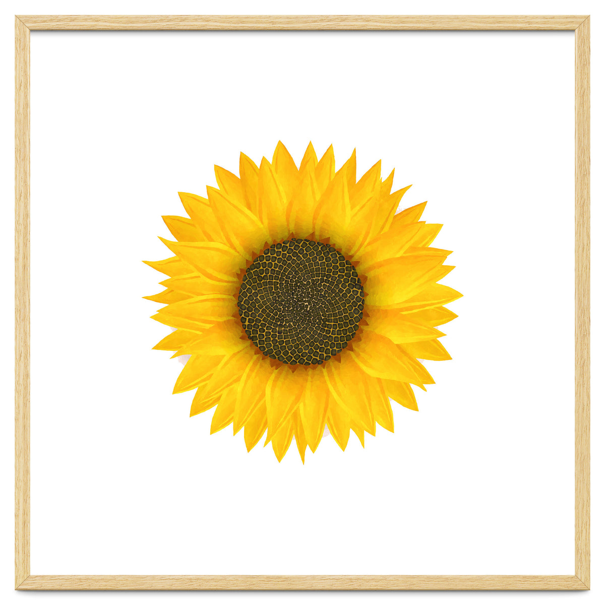 Watercolor Sunflower