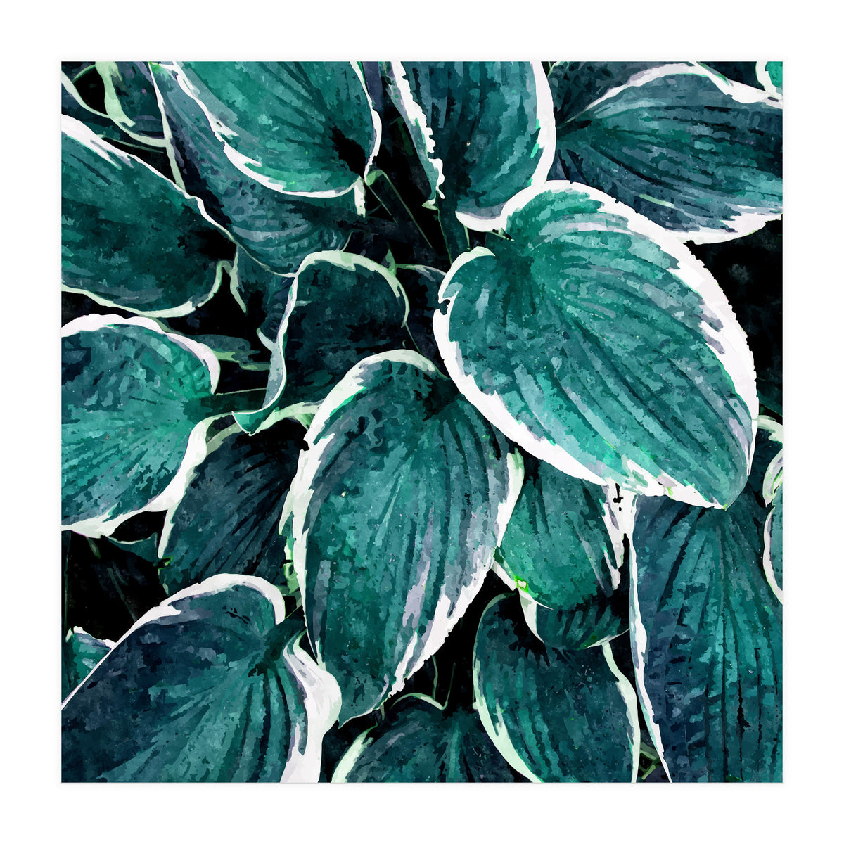 Sacred Edge (Print Only)