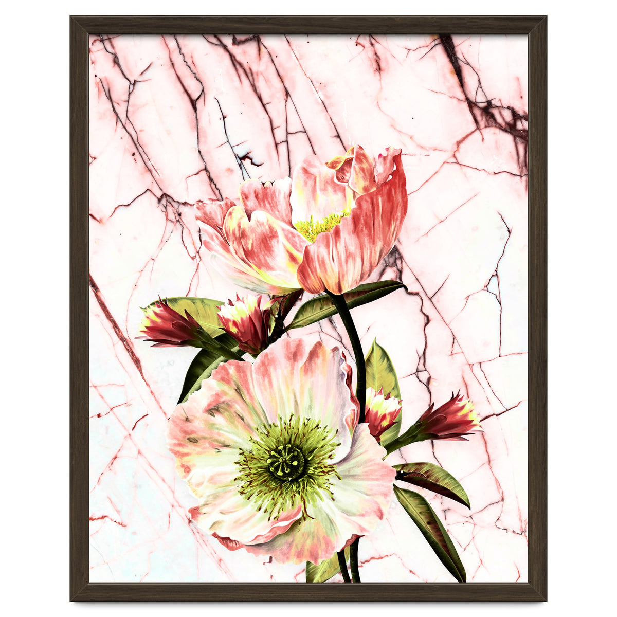 Flowering on pink marble