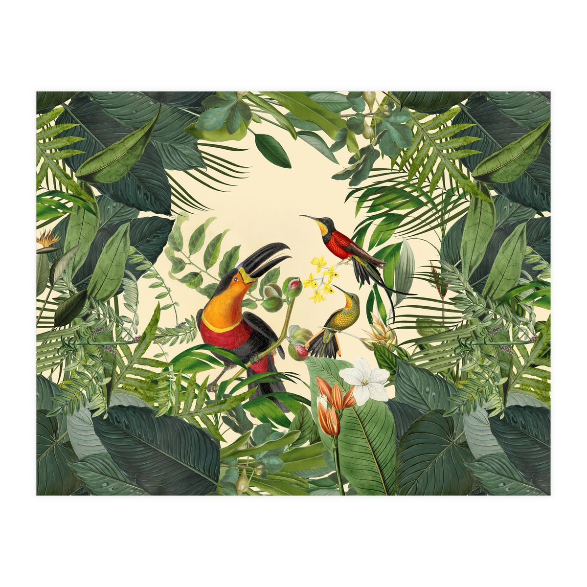 Green Jungle Toucans 2 (Print Only)