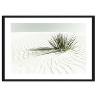 WHITE SANDS Idyllic scenery | Vintage