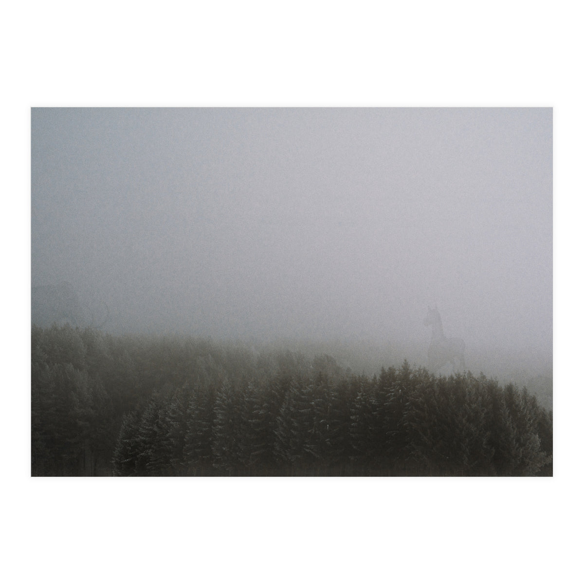 The Mist (Print Only)