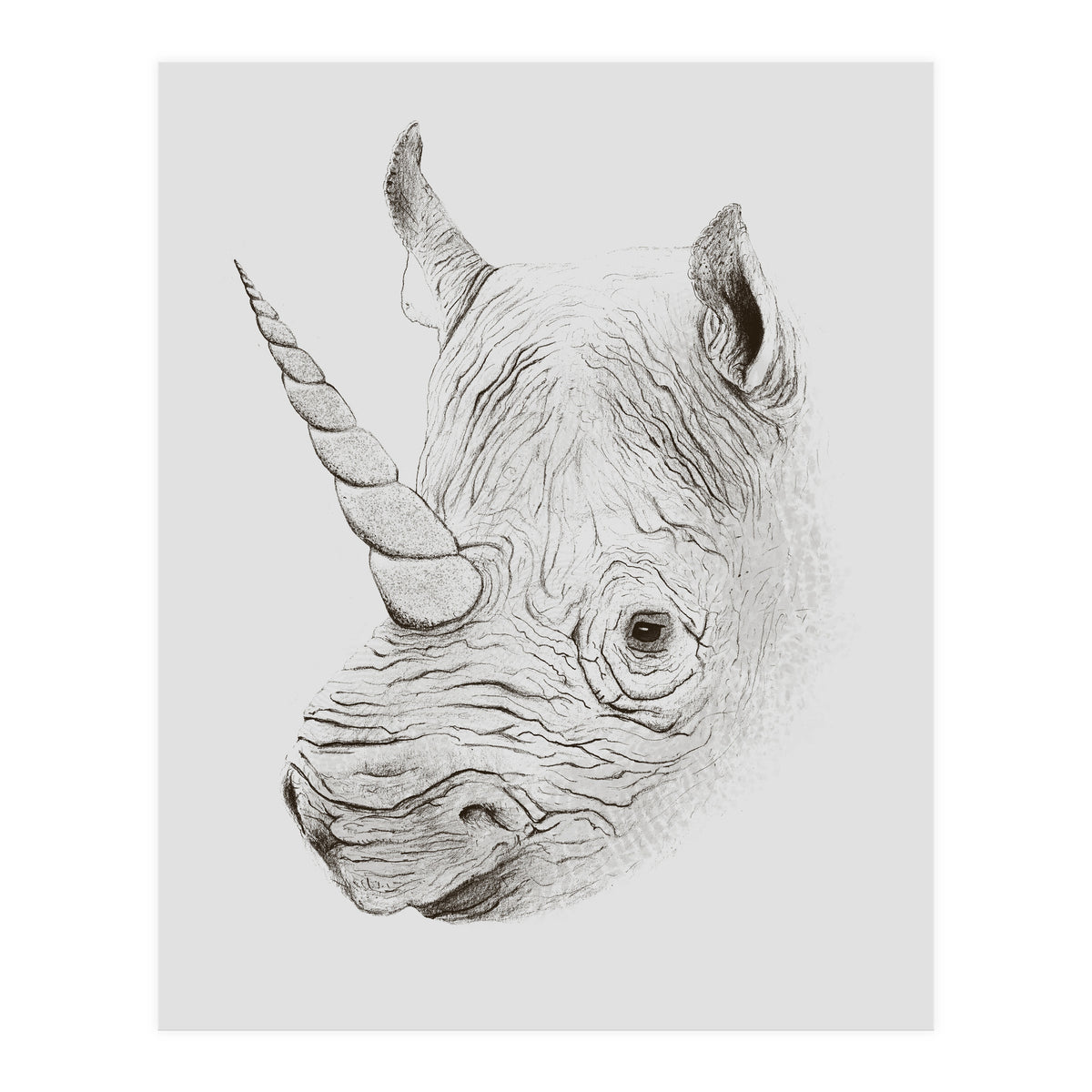 Rhinoplasty (Print Only)