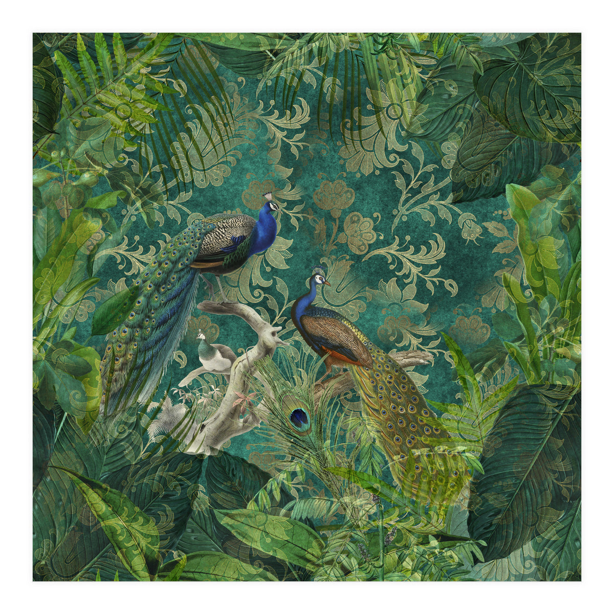 Mystic Peacocks (Print Only)