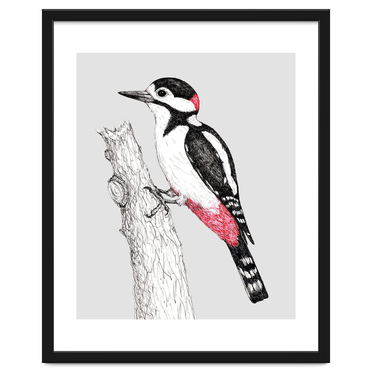 Great spotted woodpecker