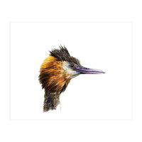 Grebe No.1 (Print Only)