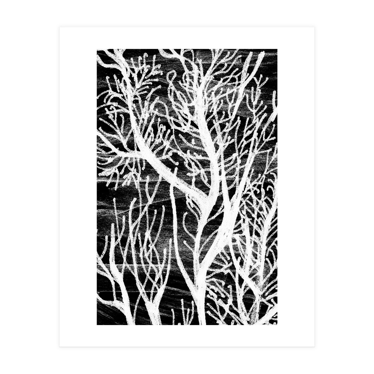 Desert Colours Collection 5 (Print Only)