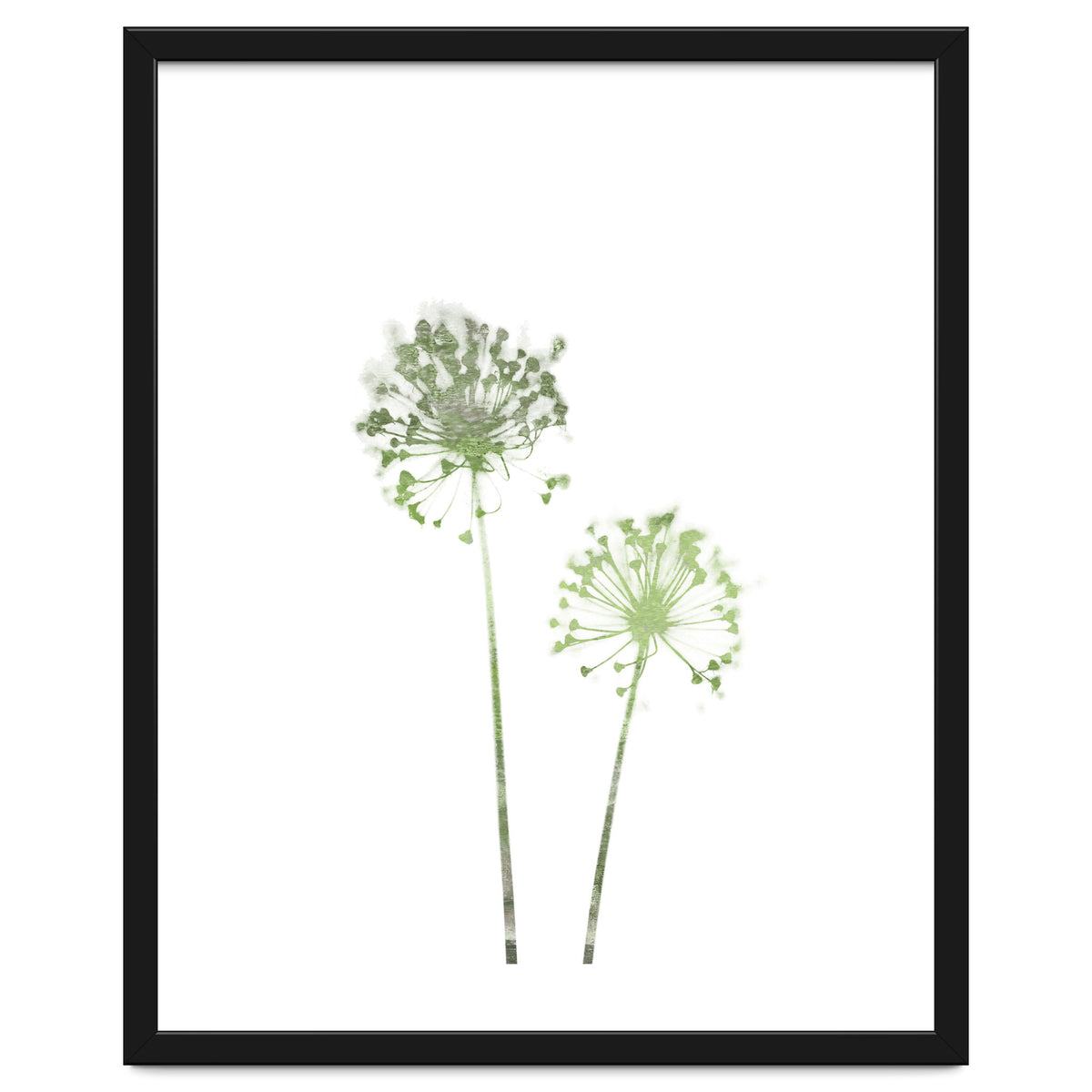 Olive Green Dandelion
