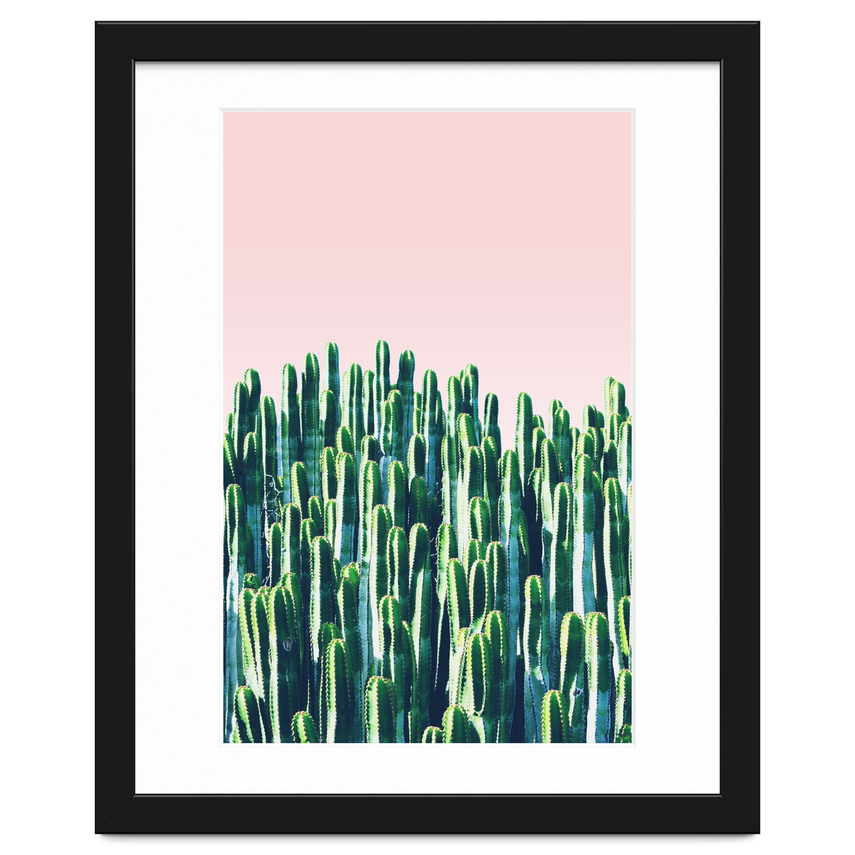 Cactus & Sunset II