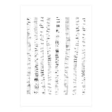 Birch Trees (Print Only) thumbnail