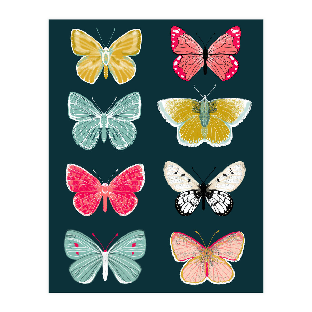 Lepidoptery Study No. 2 (Print Only)