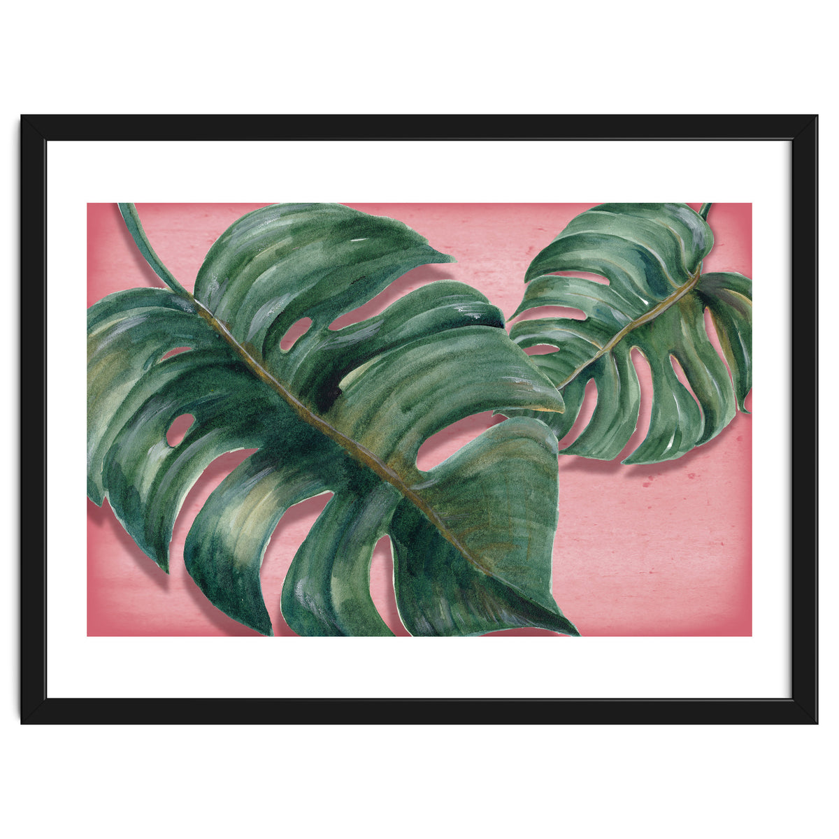 Monstera Leaf