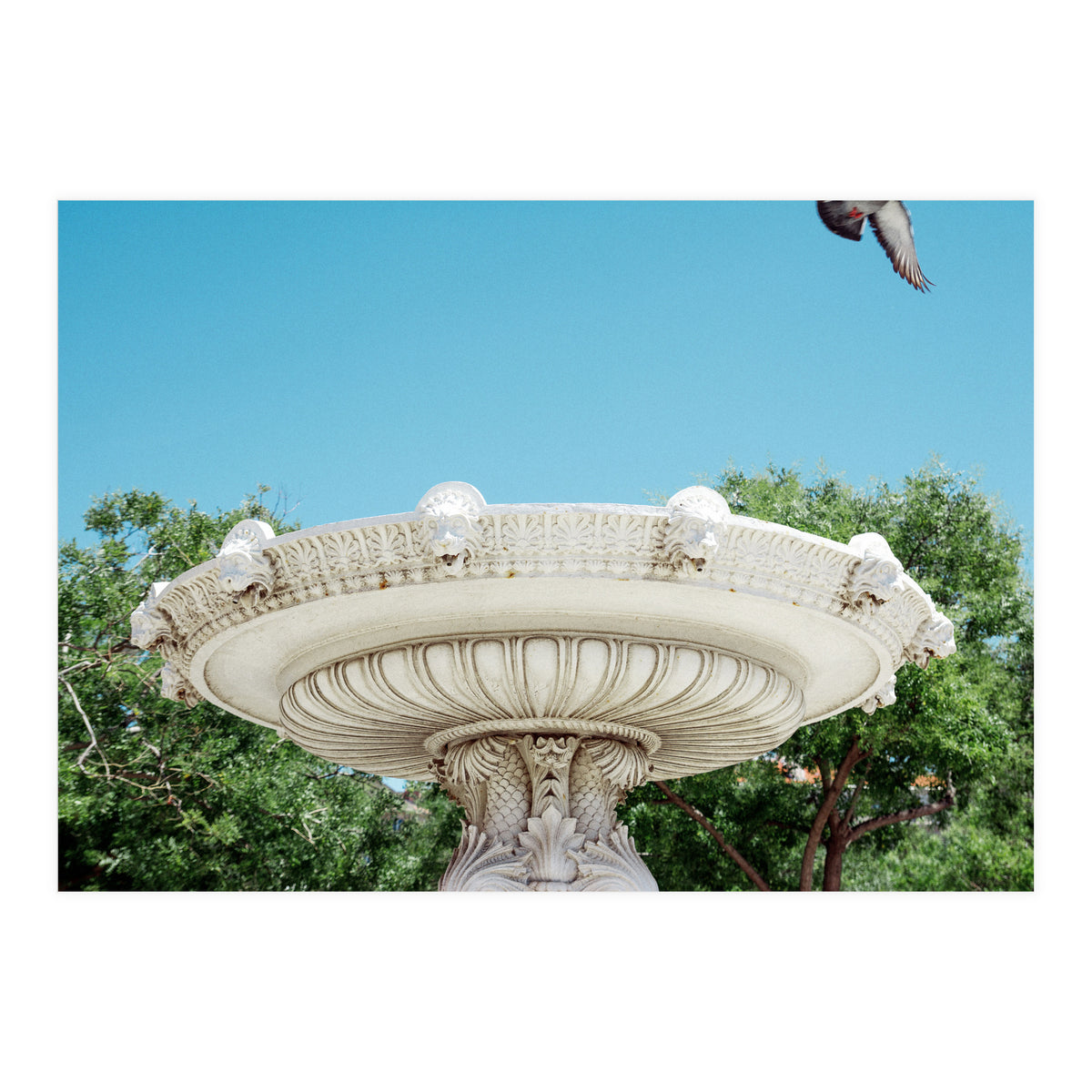 Holy Grail (Print Only)