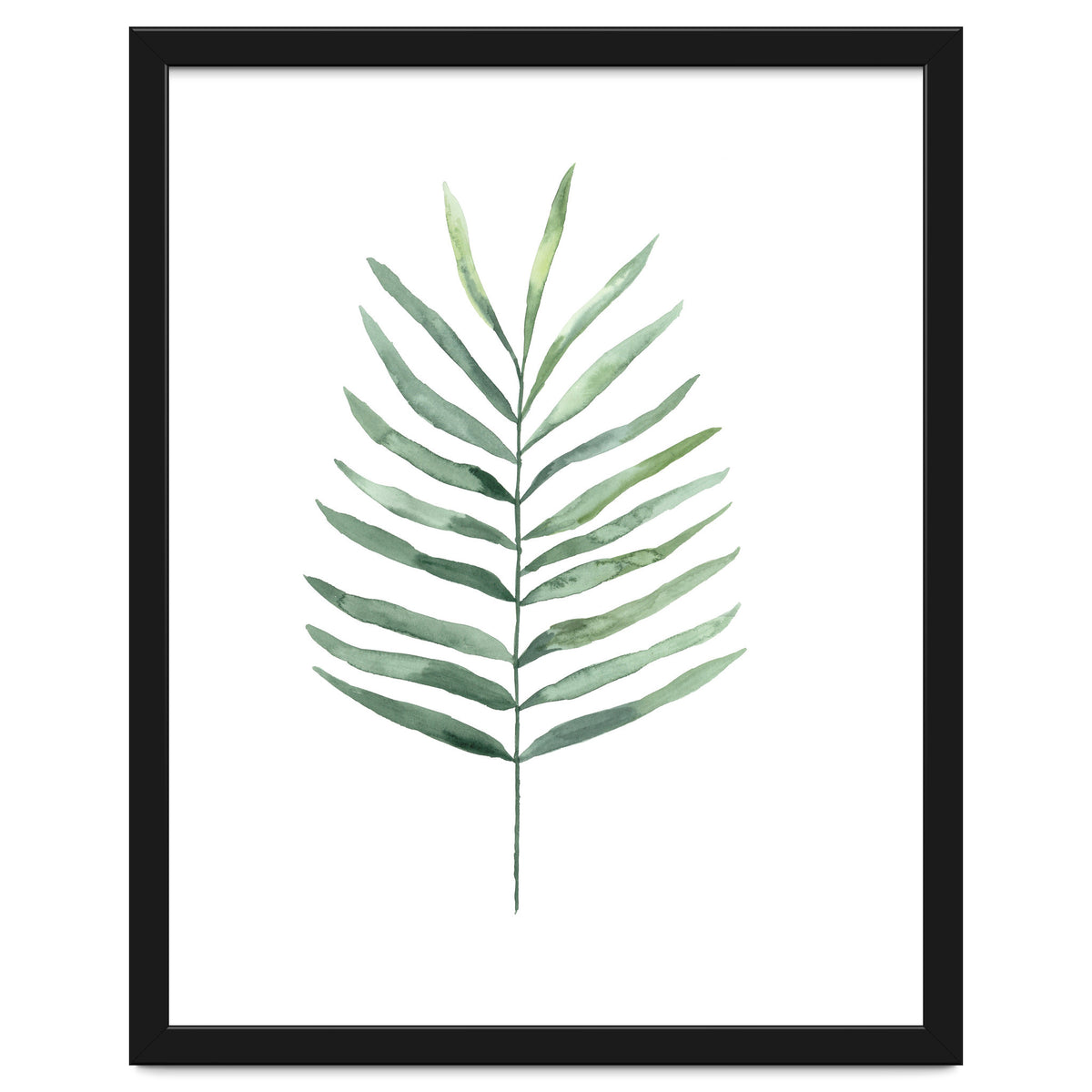 Botanical Illustration Fern