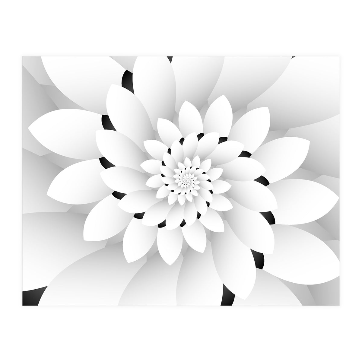 Monochrome Floral Design  (Print Only)