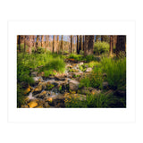 San Gorgonio Stream (Print Only) thumbnail