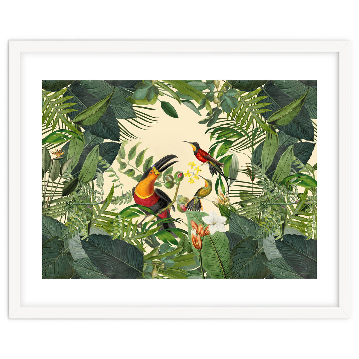 Green Jungle Toucans 2