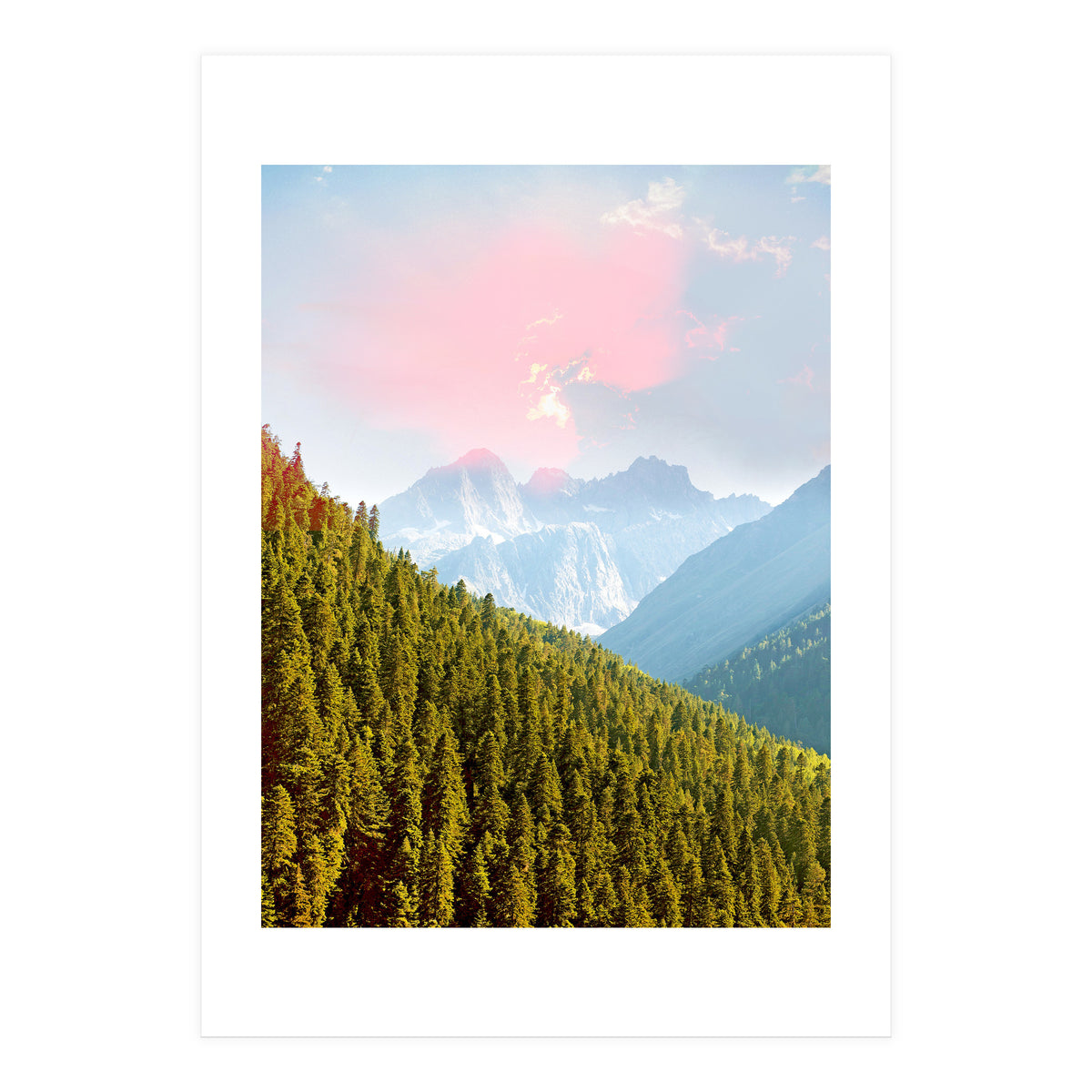 Evergreen (Print Only)