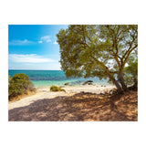 Siesta (Print Only) thumbnail