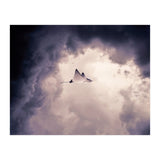 Lltt (Print Only) thumbnail