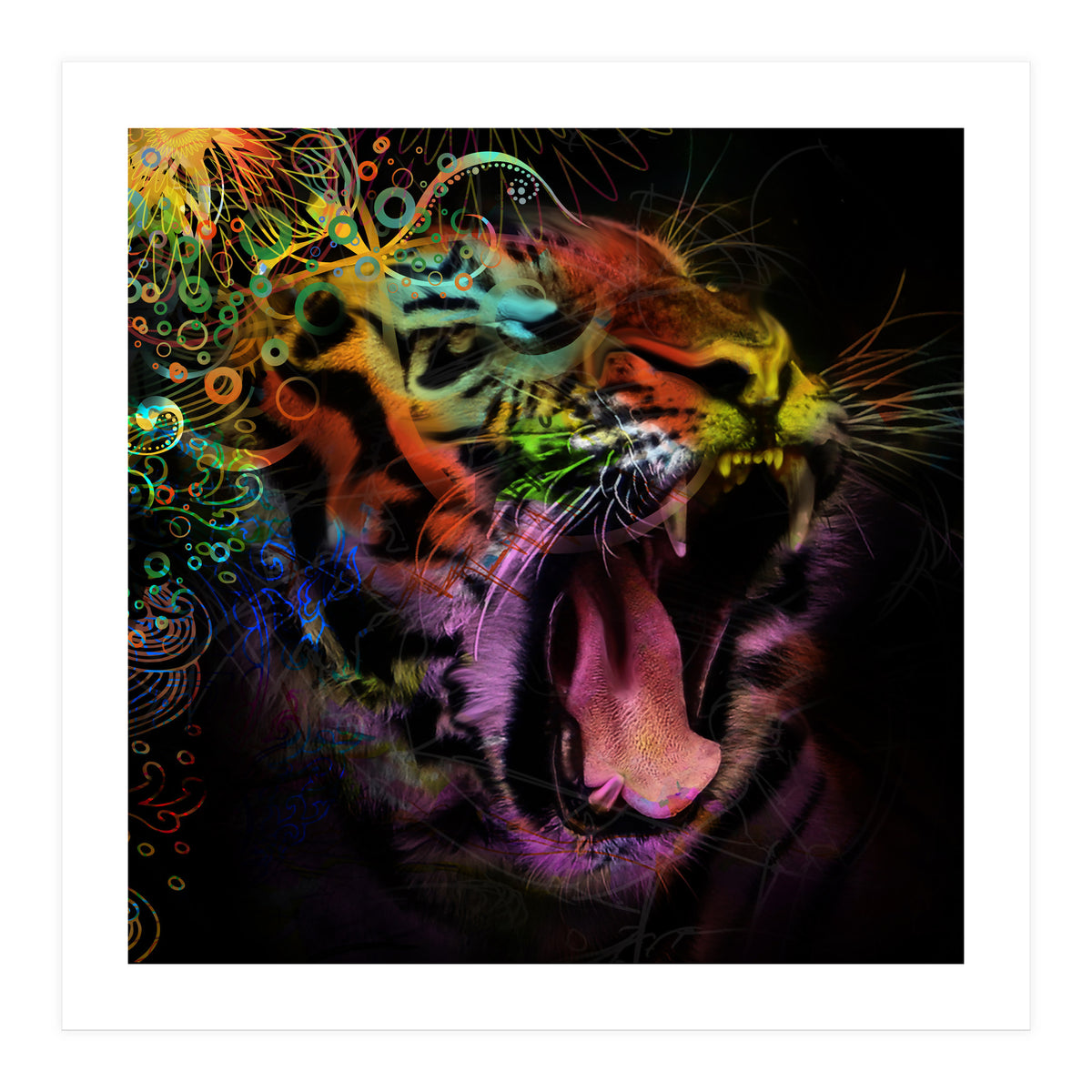 Tiger5 (Print Only)