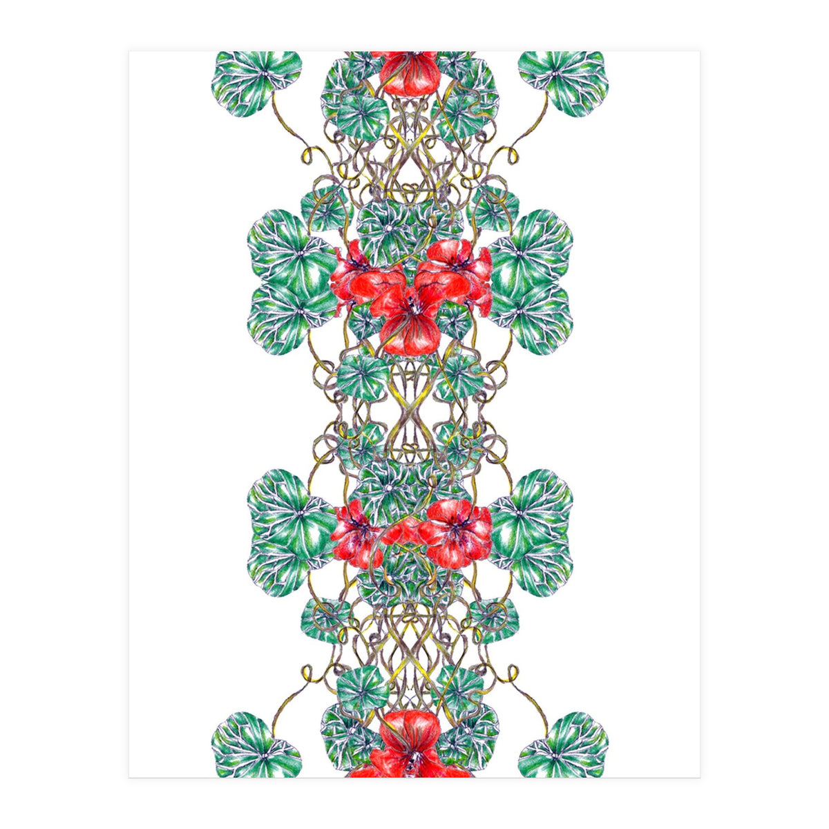 Nasturtiums  (Print Only)