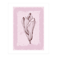 Magnolia Neutral Abstract Botanical (Print Only)