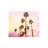 Coconut Groove (Print Only) thumbnail
