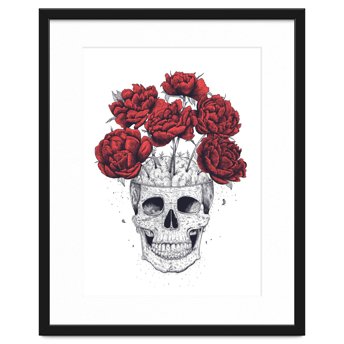 Skull With Peonies