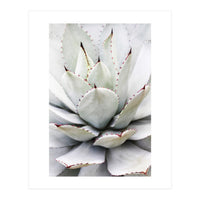 Agave plant (Print Only)