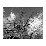 Eiffel Tower, Paris (Print Only) thumbnail