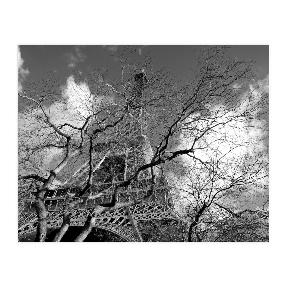 Eiffel Tower, Paris (Print Only)