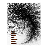 Mad Mind 2 (Print Only) thumbnail
