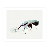 Anteater (Print Only) thumbnail