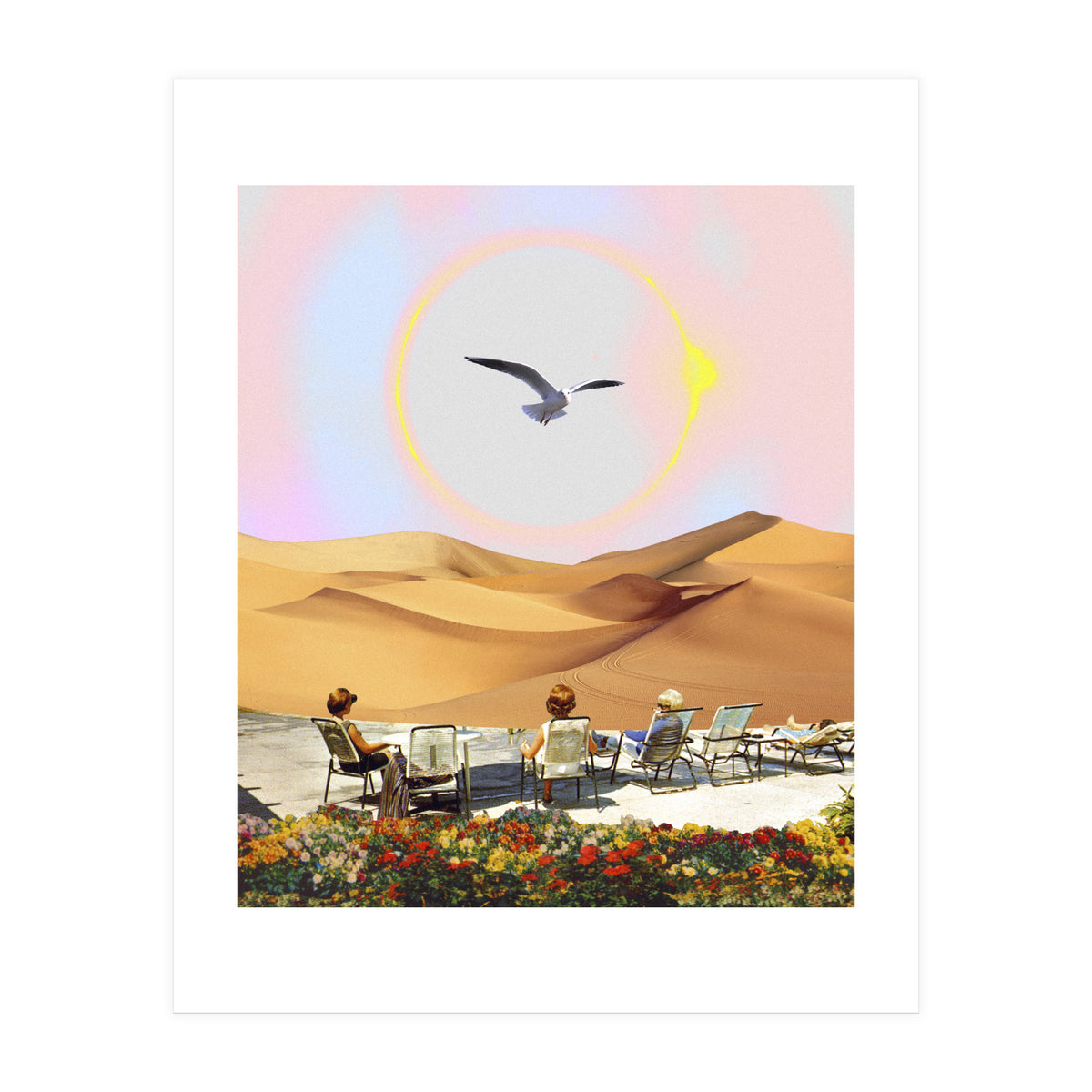 Birdwatching 2.0. (Print Only)