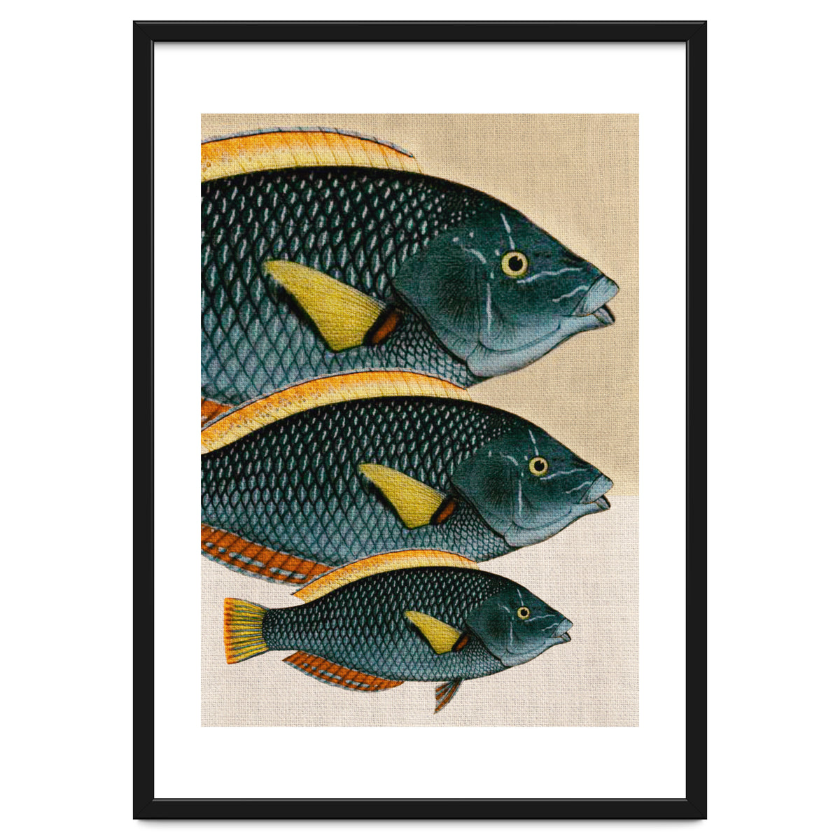 Fish Classic Designs 10