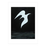 Soar (Print Only) thumbnail