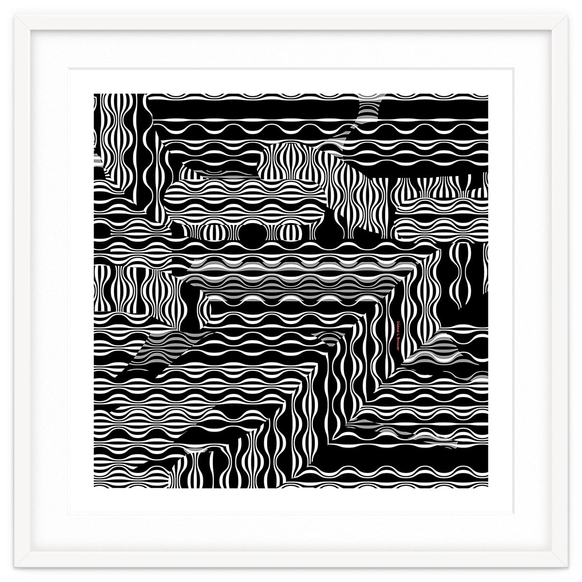 BLACK AND WHITE EXOTIC