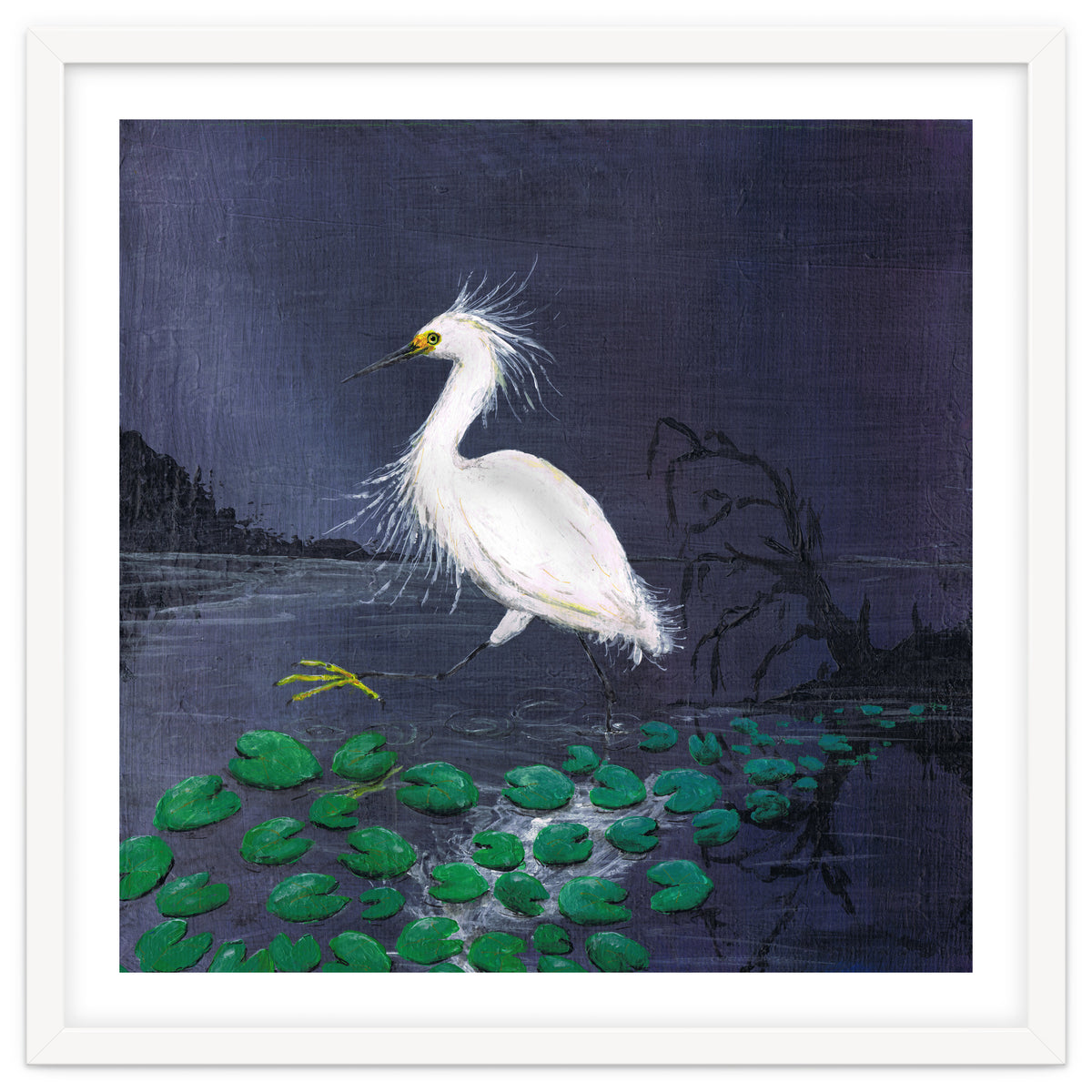 Twilight egret