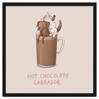 Hot Chocolate Labrador