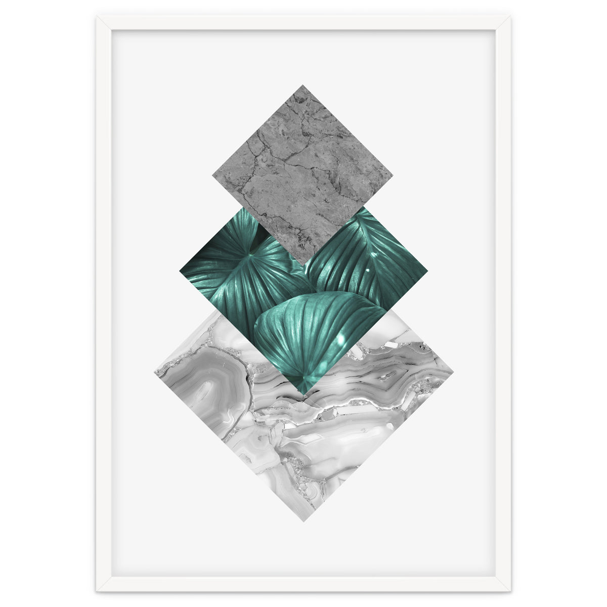 Botanical and geometric V