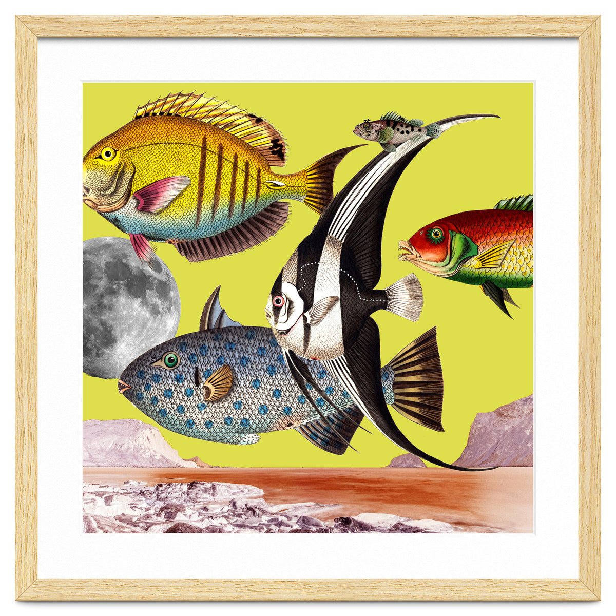 Plenty Of Fish In The Sea Yellow