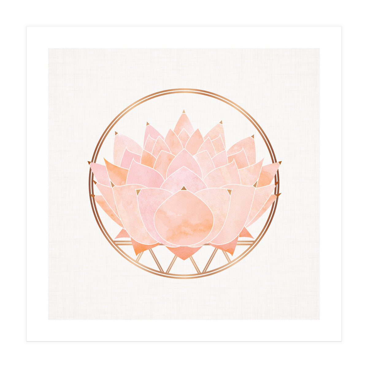 Peach Succulent  Blossom (Print Only)