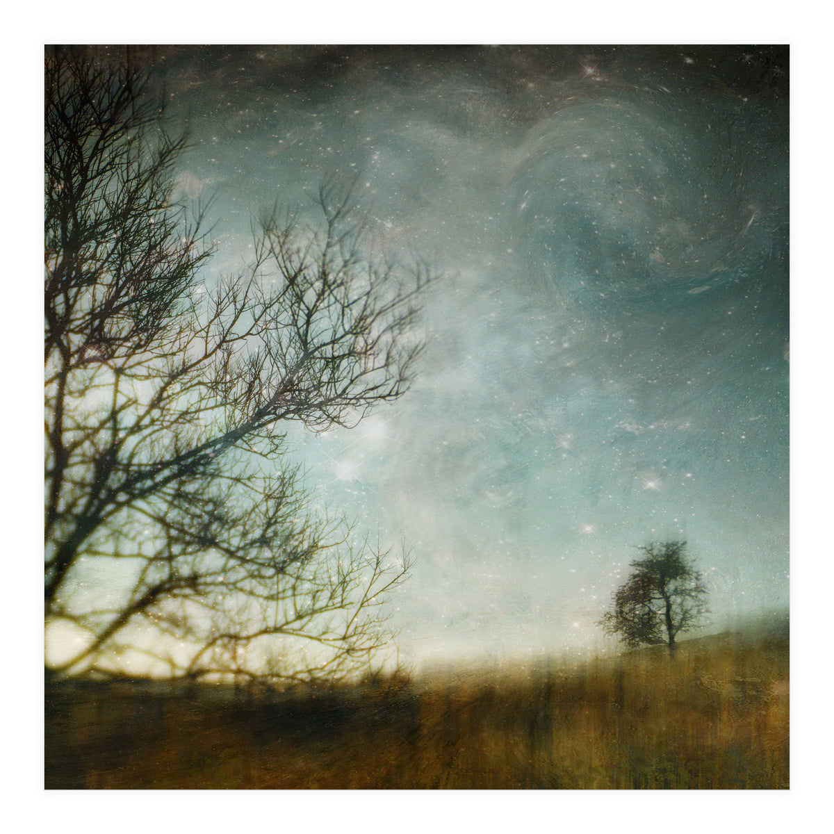 The Tree That Whispered (Print Only)