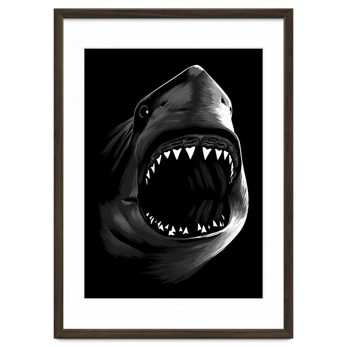 Megalodon