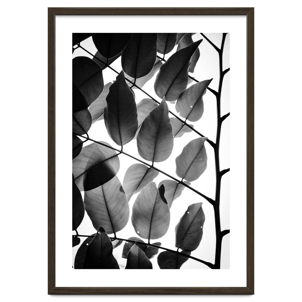 Branches and Leaves II