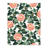 Josephine | Vintage Rose Garden Illustration | Bohemian Botanical Floral House Plants (Print Only) thumbnail