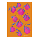 Pink Citrus (Print Only) thumbnail