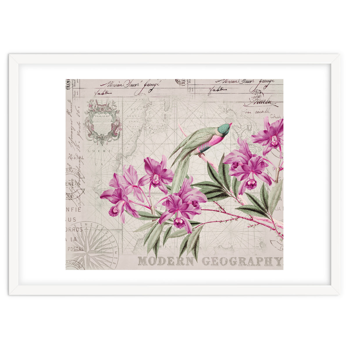 The Birds Voyage Of Discovery